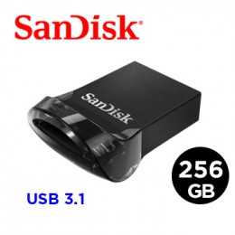 SanDisk Ultra Fit USB 3.1 高速隨身碟 256GB 全新 G-1800