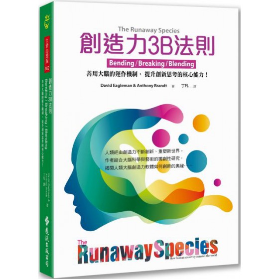 創造力3B法則：善用大腦的運作機制，提升創新思考的核心能力！ 遠流出版David Eagleman & Anthony Brand 七成新 G-5496