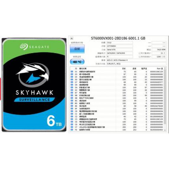 SkyHawk 監控專用硬碟 七成新 G-7197