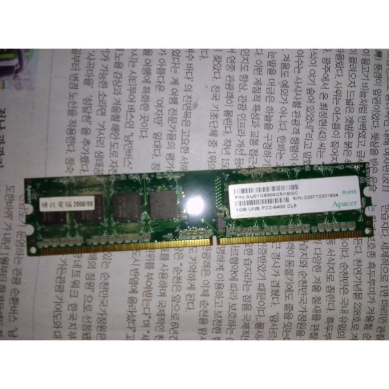 報廢品_記憶體1GB UNB PC2-6400 CL5 四成新 G-8448